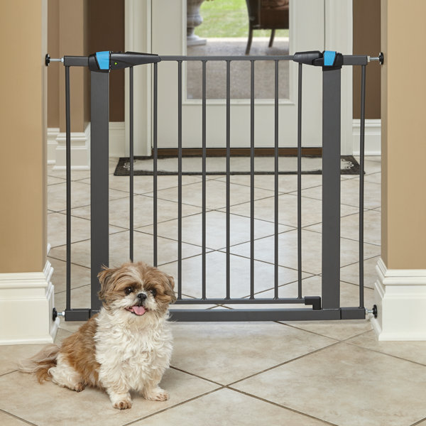 Dog best sale round gate